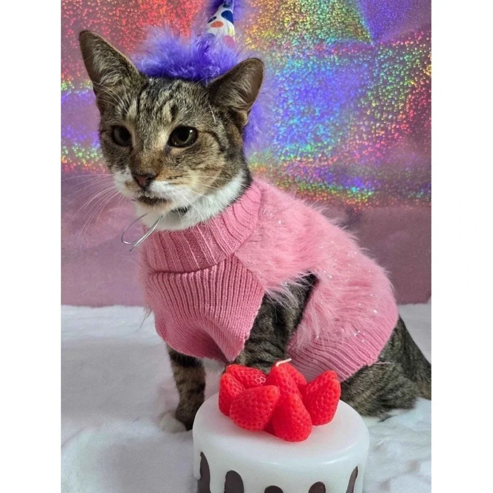 Boots & Barkley Thick Knit Pet Dog Cat Sweater Size S Pink Eyelash Holiday New